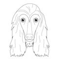 Afghan Hound dog easy coloring cartoon vector illustration. Isolated on white background Royalty Free Stock Photo