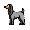 Afghan Hound dog grey icon vector illustration Royalty Free Stock Photo