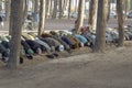 Afghan Muslim men bow and pray together under trees