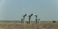 Afghanistan desert sculpture in the middle of the drought in the North east