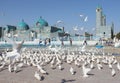 Afghanistan. Mosque in Mazari Sharif Royalty Free Stock Photo