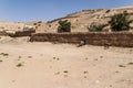 Afghanistan refugee camp donkey in the North in the middle fighting season