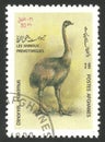 Prehistorical Animals, Dinornis maximus