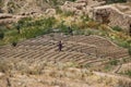 Afghanistan villagers working their plot of landctll of the school