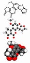 Aflatoxin B1 carcinogenic food contaminant molecule, molecular model