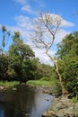 Afon Llugwy in countryside at Betws-y-Coed, Wales Royalty Free Stock Photo