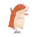 Afore English Language Preposition of Place and Cute Hamster Character, Educational Visual Material for Children