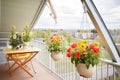 aframe with flowers, balcony, spring setting Royalty Free Stock Photo