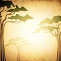 Africa Abstract Acacia Tree Background