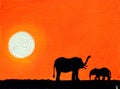 Africa. African safari. The sun. African sun. Elephants. Royalty Free Stock Photo