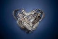 Heart of feathers on blue background