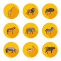 Africa animals flat icons set Royalty Free Stock Photo