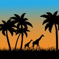 1194 Africa, background with a picture of the African landscape with silhouettes of palms and giraffes