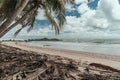 Africa beach from jungle and boulders Royalty Free Stock Photo