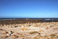 Africa- Cape of Good Hope, Stones Piled by Tourists