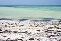 Africa coastline the blue lagoon relax of zanzibar