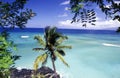 AFRICA COMOROS ANJOUAN Royalty Free Stock Photo