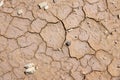 Africa drought Royalty Free Stock Photo