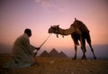 AFRICA EGYPT CAIRO GIZA PIRAMIDS Royalty Free Stock Photo