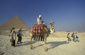 AFRICA EGYPT CAIRO GIZA PYRAMIDS Royalty Free Stock Photo