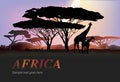 Africa elephants silhouette Royalty Free Stock Photo