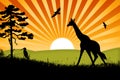 Africa giraffe background