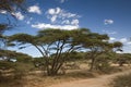 Africa landscape 019 ngorongoro