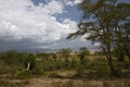 Africa landscape, ngorongoro