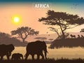 African landscape. Grass, trees, birds, animals silhouettes. Abstract nature background. Royalty Free Stock Photo