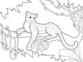 Africa, leopard sits on tree branch, around creeper. Childrens coloring, black lines, white background.