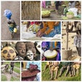 Africa life collage Royalty Free Stock Photo