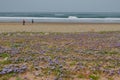 Africa, Morocco, spring, March 2018 west coast, ocean coast, people walking along the coast