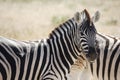 Africa, Namibia