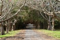 Africa, picturesque village of Mont Choisy in Mauritius