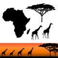 Africa and Safari elements Royalty Free Stock Photo