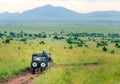 Africa safari jeep driving on Masai Mara and Serengeti national park Royalty Free Stock Photo