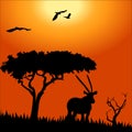 Africa safari - silhouettes of wild animals