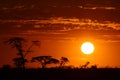 Africa safari sunset Royalty Free Stock Photo