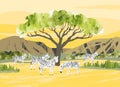 Africa. Savanna landscape with zebras. Reserves and national parks outdoor. Bright hand draw vector Illustration with animals,