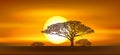 Africa savannah at sunset background Royalty Free Stock Photo
