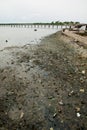 Africa Senegal river pollution soil Royalty Free Stock Photo