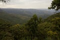 Africa, south Ethiopia, Mago national park Royalty Free Stock Photo