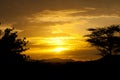 Africa, south Ethiopia, Mago national park Royalty Free Stock Photo