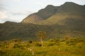 Africa, south Ethiopia, Mago park area Royalty Free Stock Photo