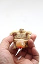 Africa spurred tortoise being born, Tortoise Hatching from Egg, Cute small baby African Sulcata Tortoise