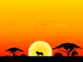 Africa sundown Royalty Free Stock Photo