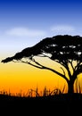 Africa sundown landscape Royalty Free Stock Photo