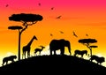 africa sunset