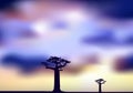 Africa, Sunset, The Baobab Trees