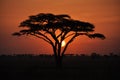 Africa sunset